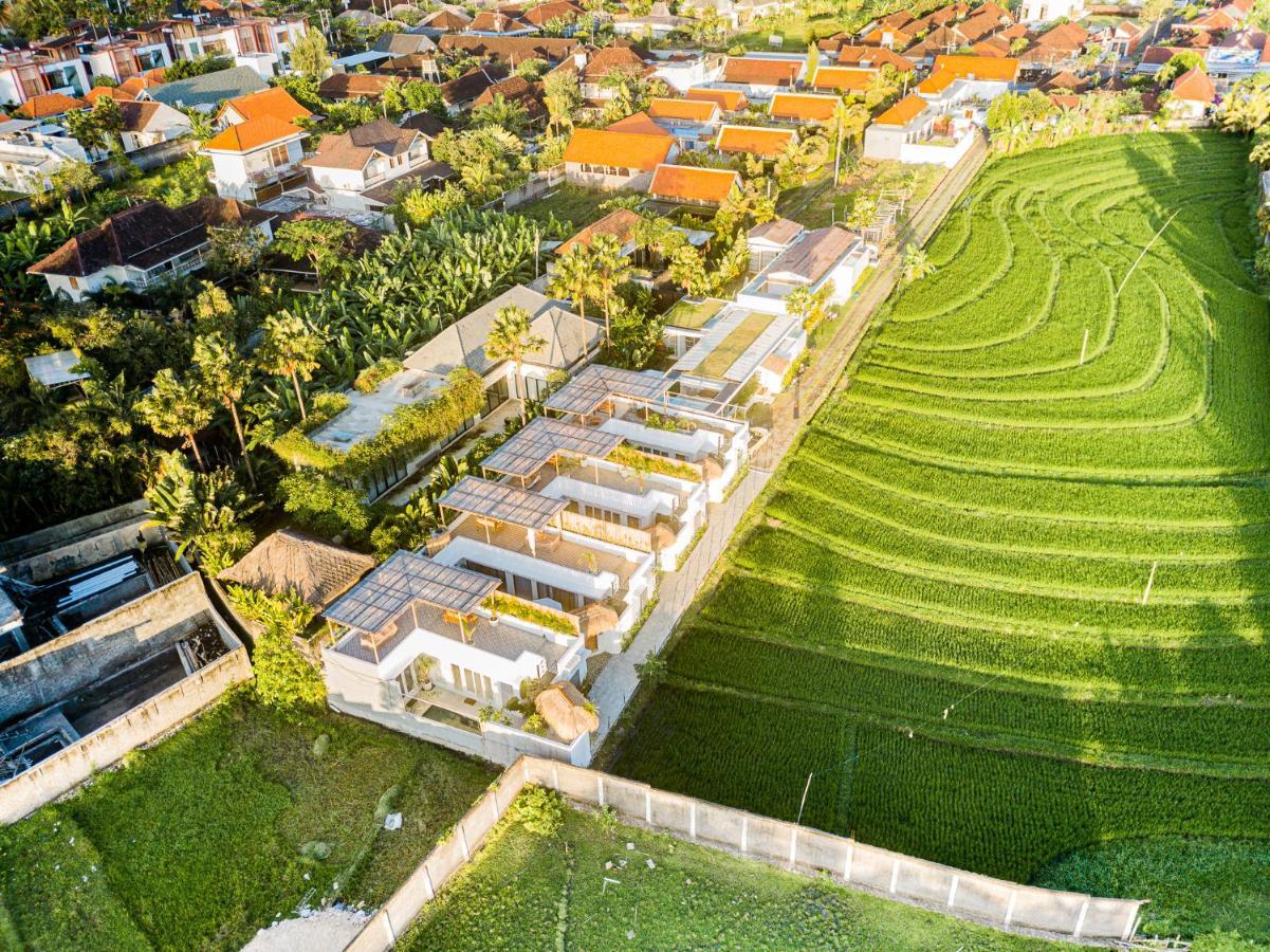 Kokomo Villas By Aayan Canggu Eksteriør bilde